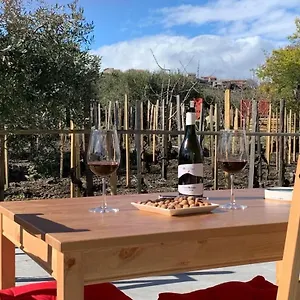 La Casa Nel Vigneto Di Tenuta Bastonaca Casa vacanze Solicchiata