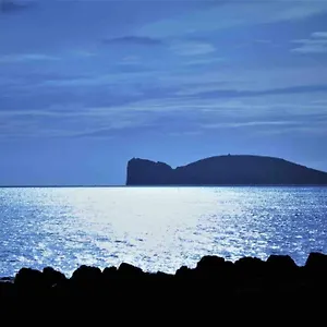 Sun&sea - A 50 Metri Appartamento Alghero